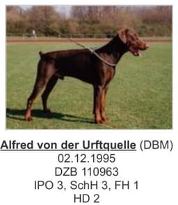 Alfred Von Der Urftquelle