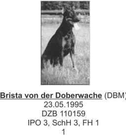 Brista Von Der Doberwache