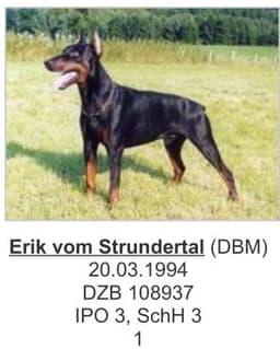 Erik Vom Strundertal