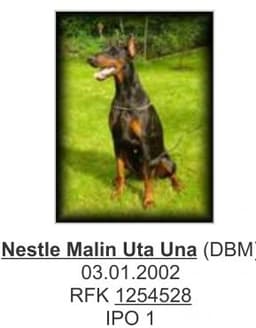 Nestle Malin Uta Una